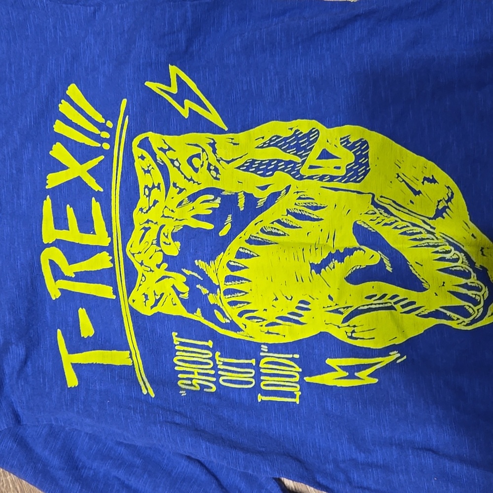 Lot Of 2 LS Blue Graphic Tees Sz XL/12 - Picture 3 of 5